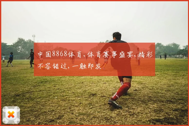 中国8868体育,体育赛事盛宴,精彩不容错过,一触即发