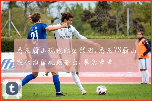 悉尼蔚山现代比分预测,悉尼VS蔚山现代谁能脱颖而出,悬念重重