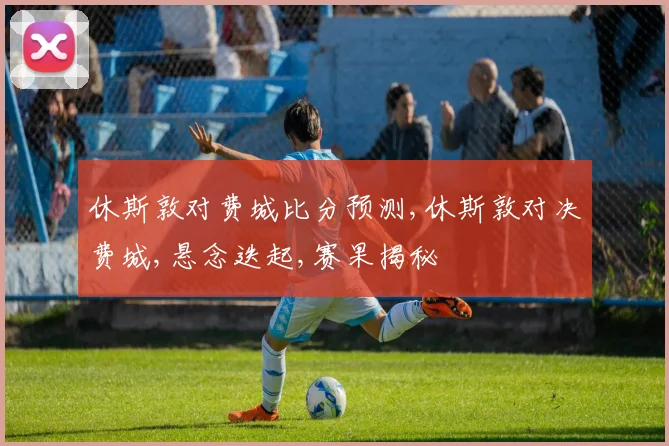 休斯敦对费城比分预测,休斯敦对决费城,悬念迭起,赛果揭秘