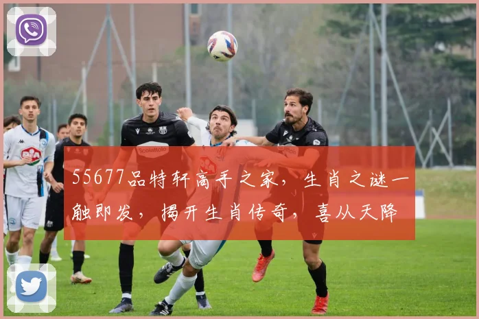 55677品特轩高手之家，生肖之谜一触即发，揭开生肖传奇，喜从天降，好运连连